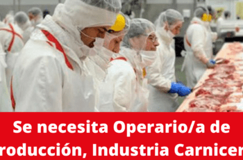 Se Solicitan Operarios Para Línea de Producción (Hombres y Mujeres) Industria Carnicera, Jornada Completa.